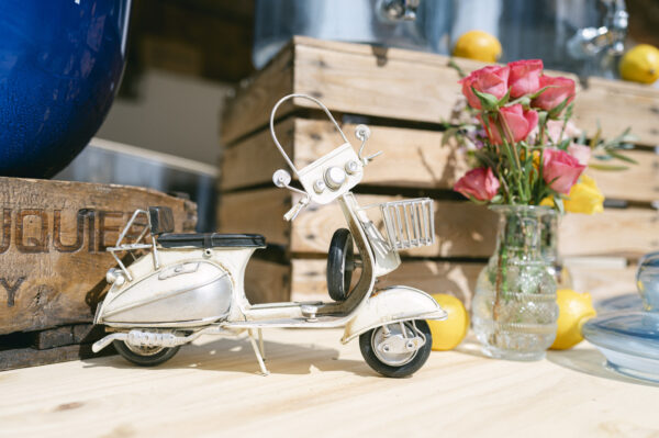 Vespa miniature